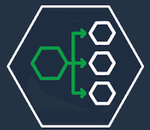 Functional Mapping